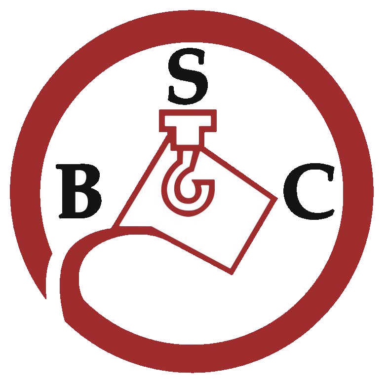 BAKU STEEL COMPANY